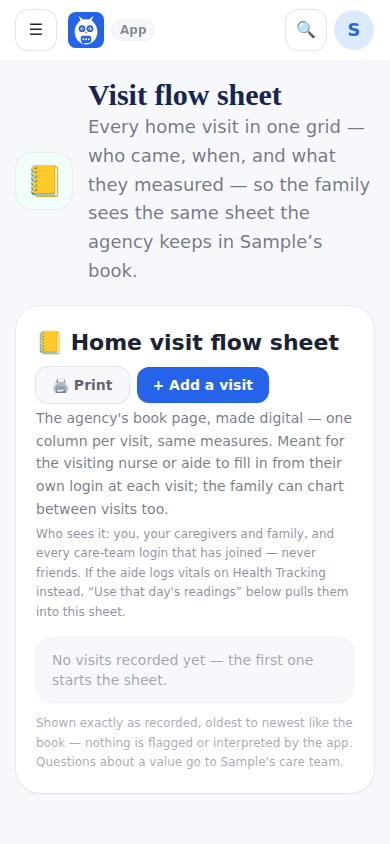 The Visit Flow Sheet, recreated from the agency book.