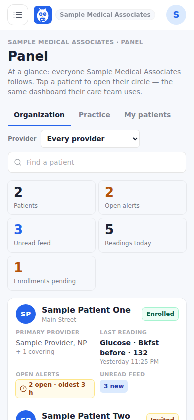 The organization panel: the stat strip and one row per patient.