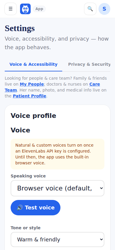 Settings: Voice and Accessibility, and Privacy and Security.